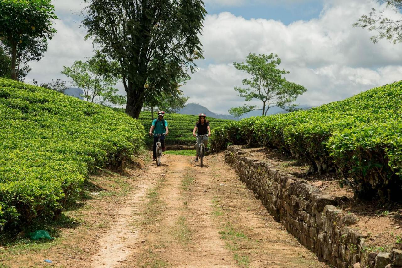 Ceylon Tea Trails - Relais And Chateaux Hatton Εξωτερικό φωτογραφία